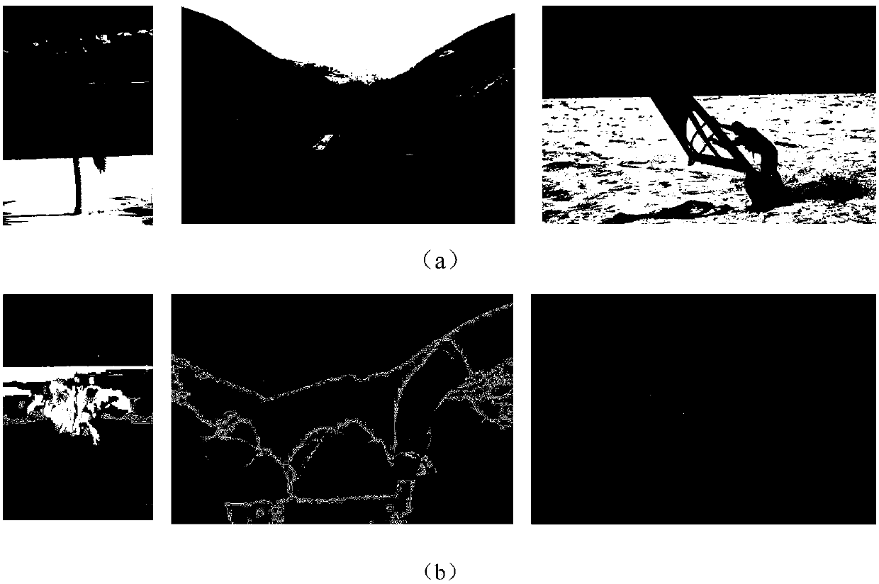 Image segmentation method based on local region homogeneity manifold constrained MRF model