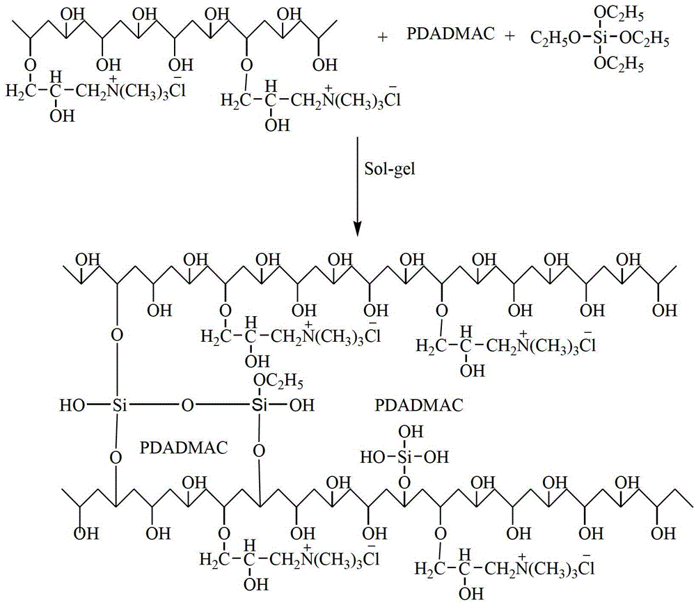 Polyvinyl alcohol anion-exchange membrane and preparation method thereof