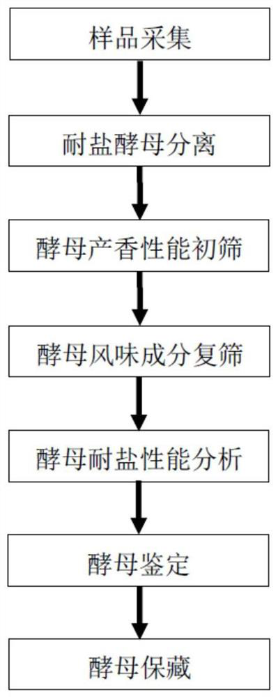 A strain of Zygosaccharomyces cerevisiae fw30-2 and its application