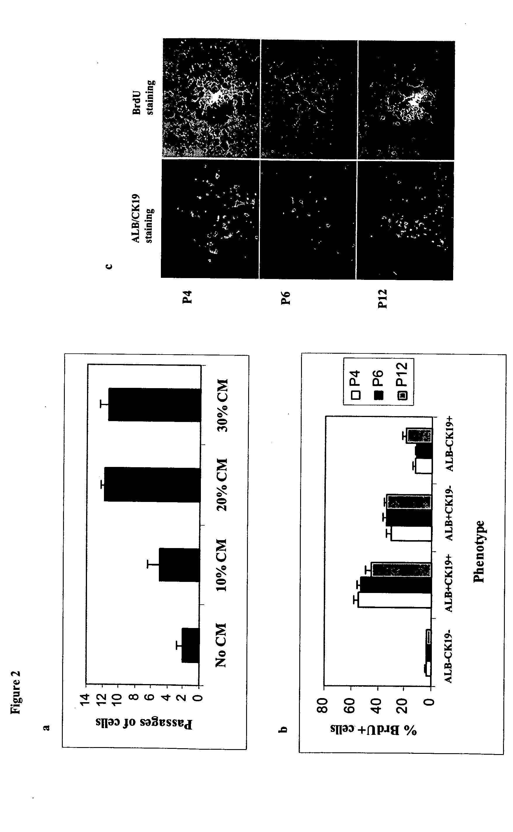 Human hepatic progenitor cells and methods of use thereof