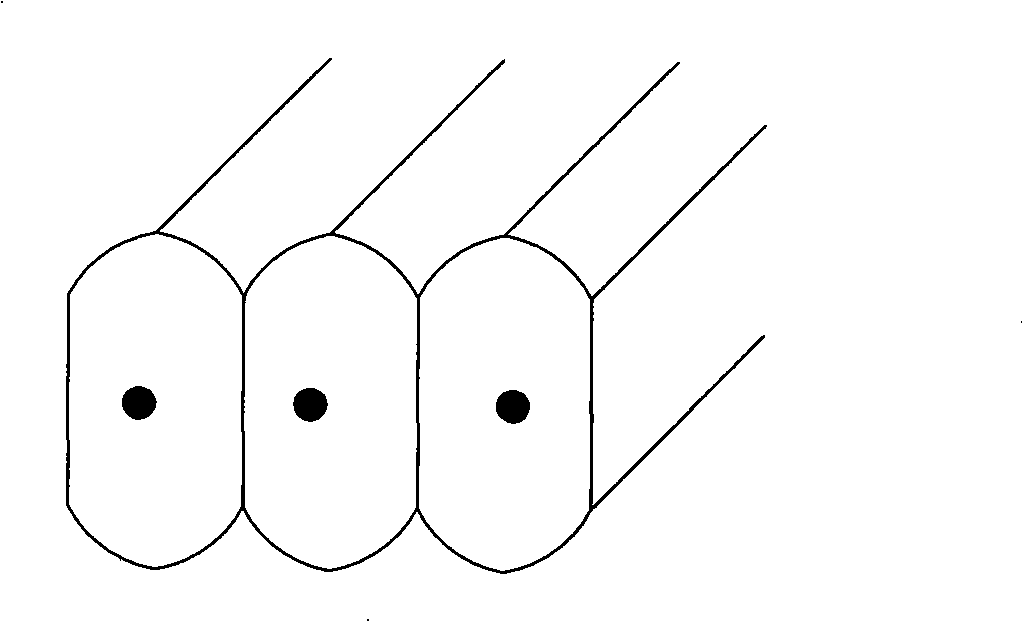 Semiconductor array laser light beam reshaping structure