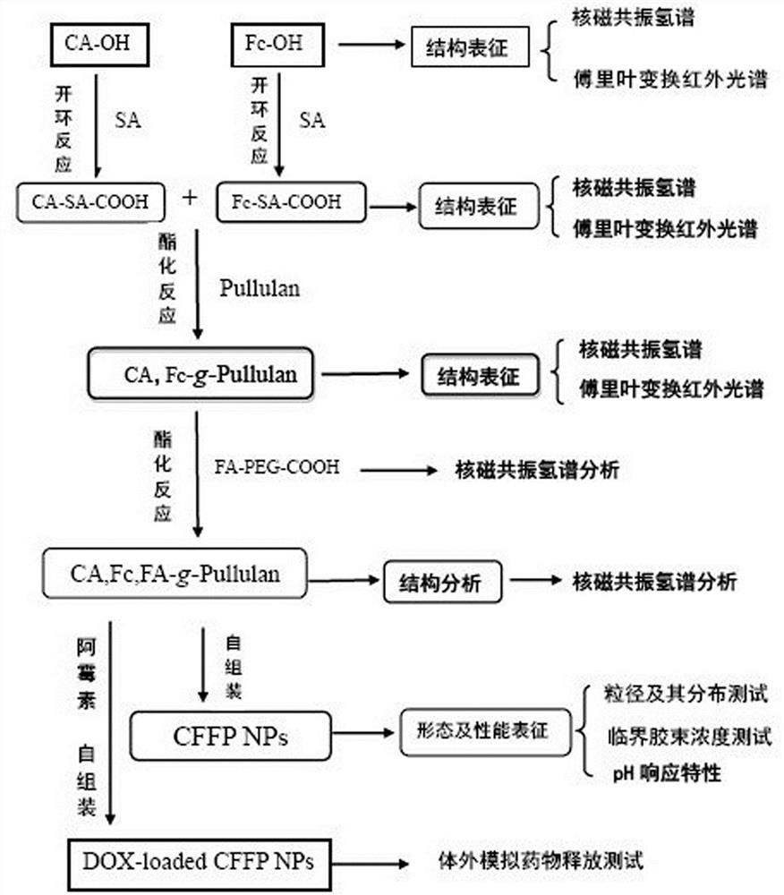 A Fenton reagent and doxorubicin co-transport targeting nanocarrier and preparation method thereof