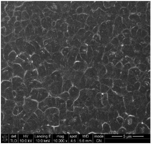 Imidazole ionic liquid and preparation method and application thereof