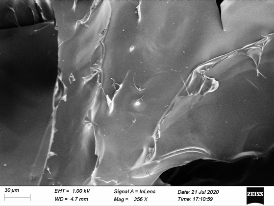 Preparation method of nanomotor-hydrogel system for gene-targeted therapy