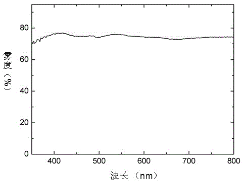 Preparation method of light diffusion sheet with random micro/nano hybrid structure