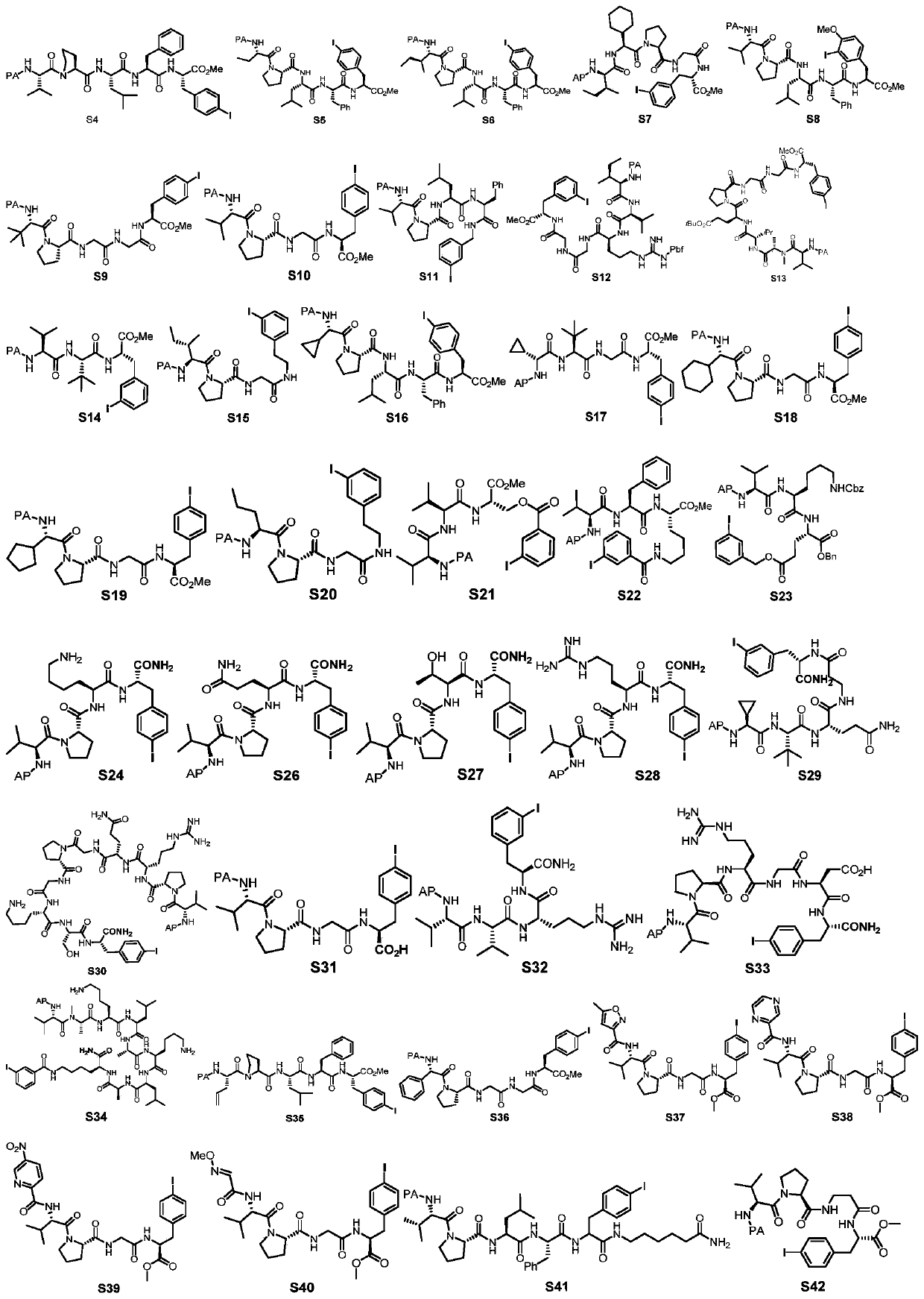 Cyclic peptide compound simulating structure of natural product and preparation method of cyclic peptide compound