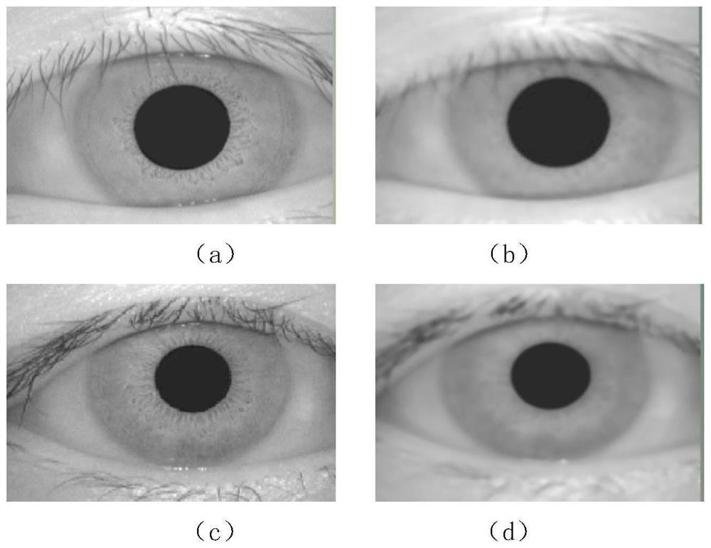 A heterogeneous iris classifier design method for quickly filtering out fake irises in the preprocessing of iris recognition