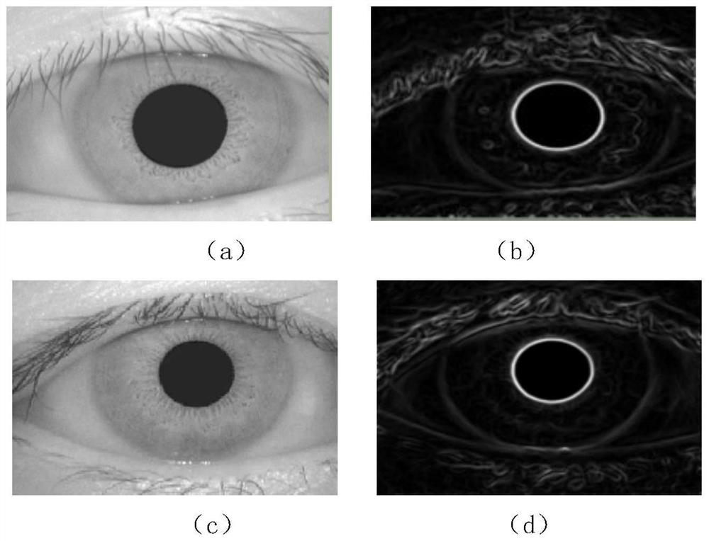 A heterogeneous iris classifier design method for quickly filtering out fake irises in the preprocessing of iris recognition