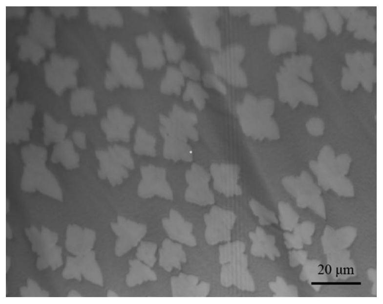 A strain detection sensor based on graphene film and its preparation method