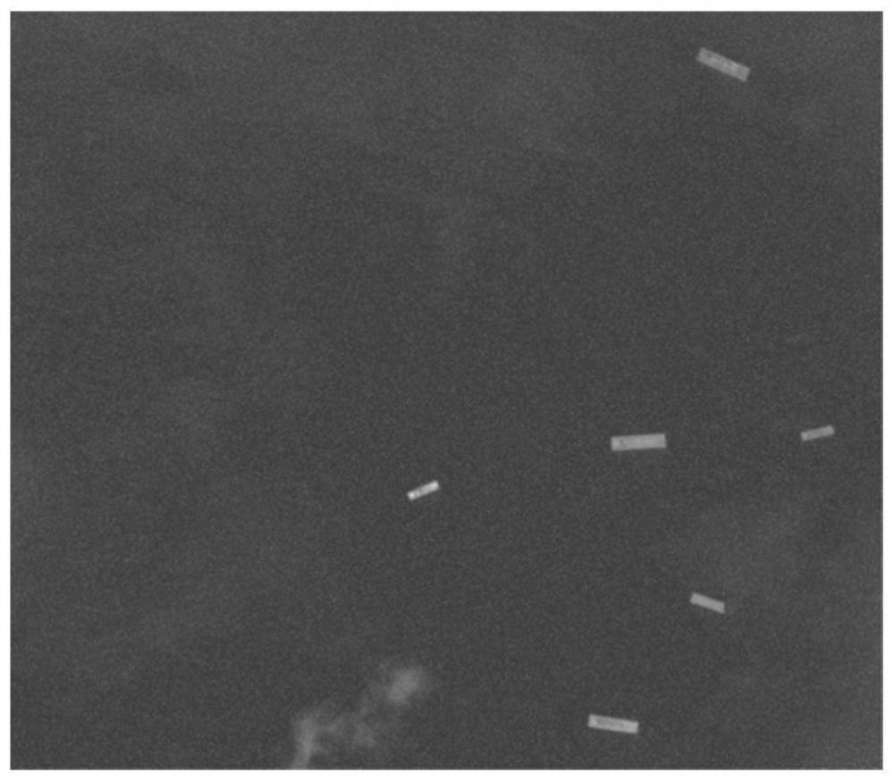 Remote sensing image sea surface ship detection method