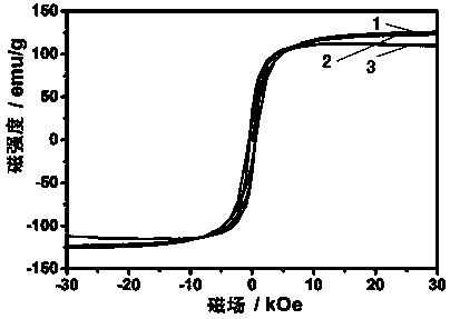 Application of Fe5C2 nano-particle to prepare bioimaging probe