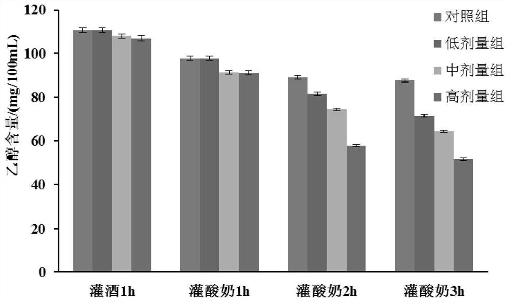 A kind of probiotic starter and its application in the fermentation preparation of fermented milk with ethanol degradation function