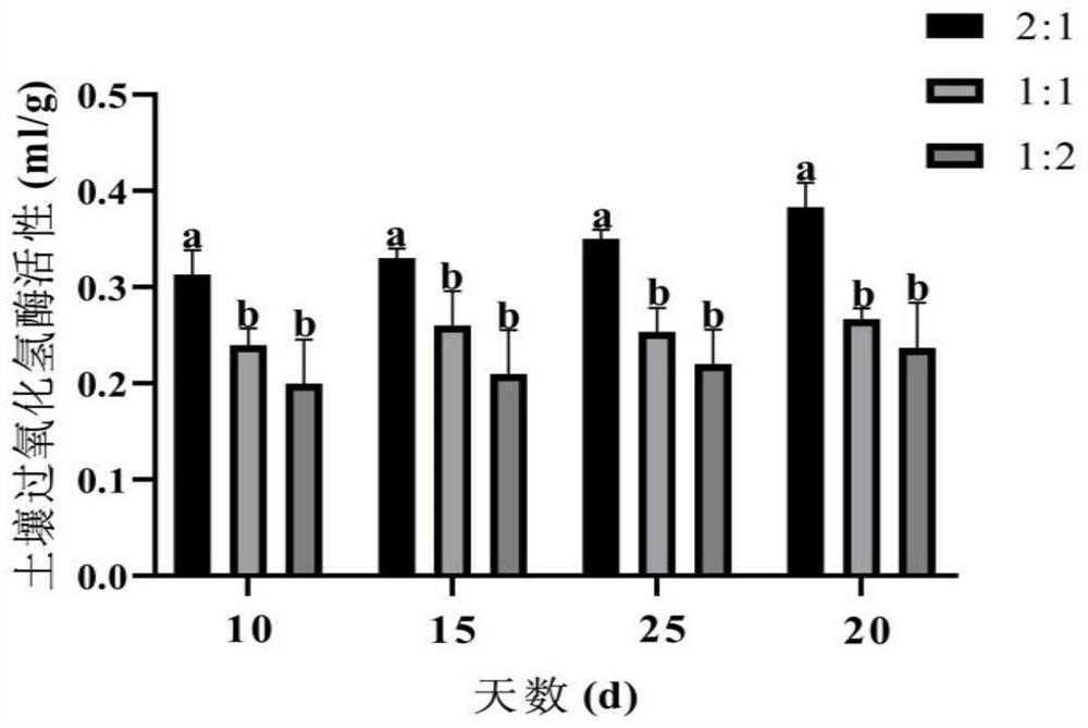 Sandy soil-clay mixing method suitable for plant growth of strip mine dump