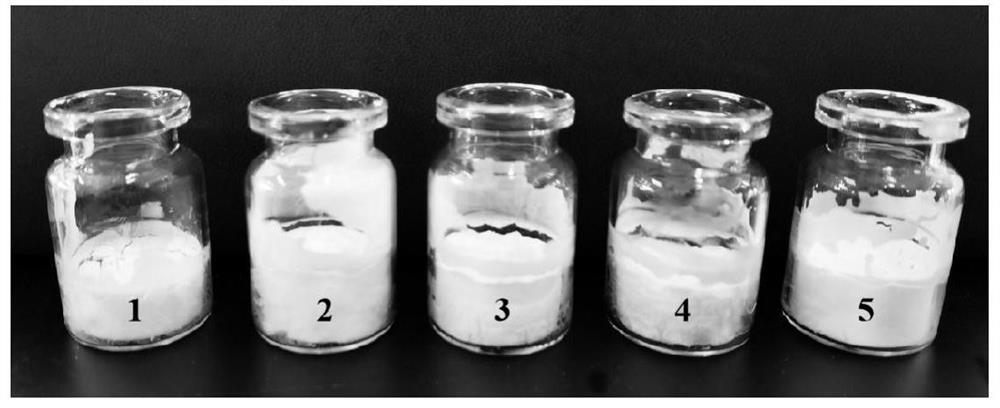 Ion-sensitive nasal in-situ gel carrying temozolomide and disulfiram as well as preparation method and application of ion-sensitive nasal in-situ gel