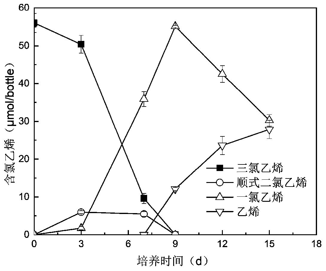 Preservation method of anaerobic dehalogenated microorganisms and application of preservation method