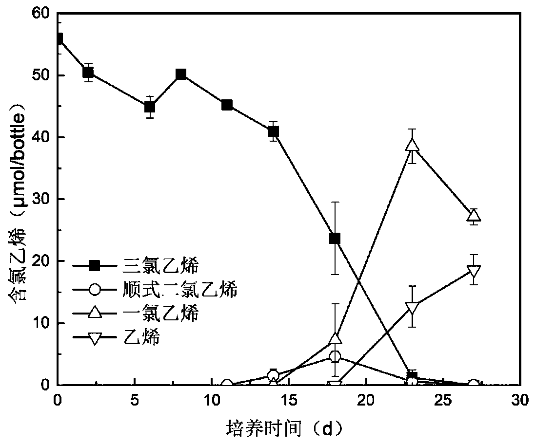 Preservation method of anaerobic dehalogenated microorganisms and application of preservation method