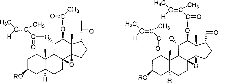 Marsdenia tenacissima carbon-21 steroid saponin mixture with antineoplastic effect