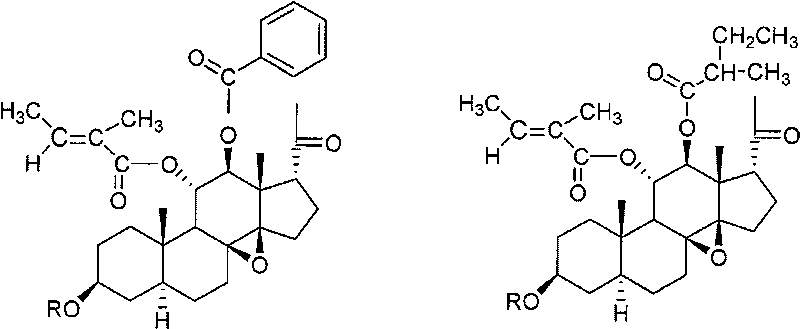 Marsdenia tenacissima carbon-21 steroid saponin mixture with antineoplastic effect