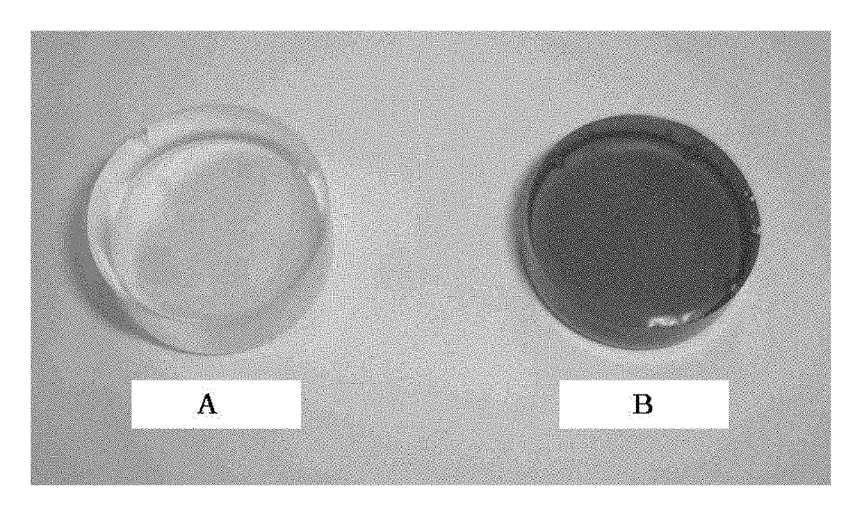 Process for production of thermoplastic cured epoxy resin with transparency to visible light, and thermoplastic epoxy resin composition