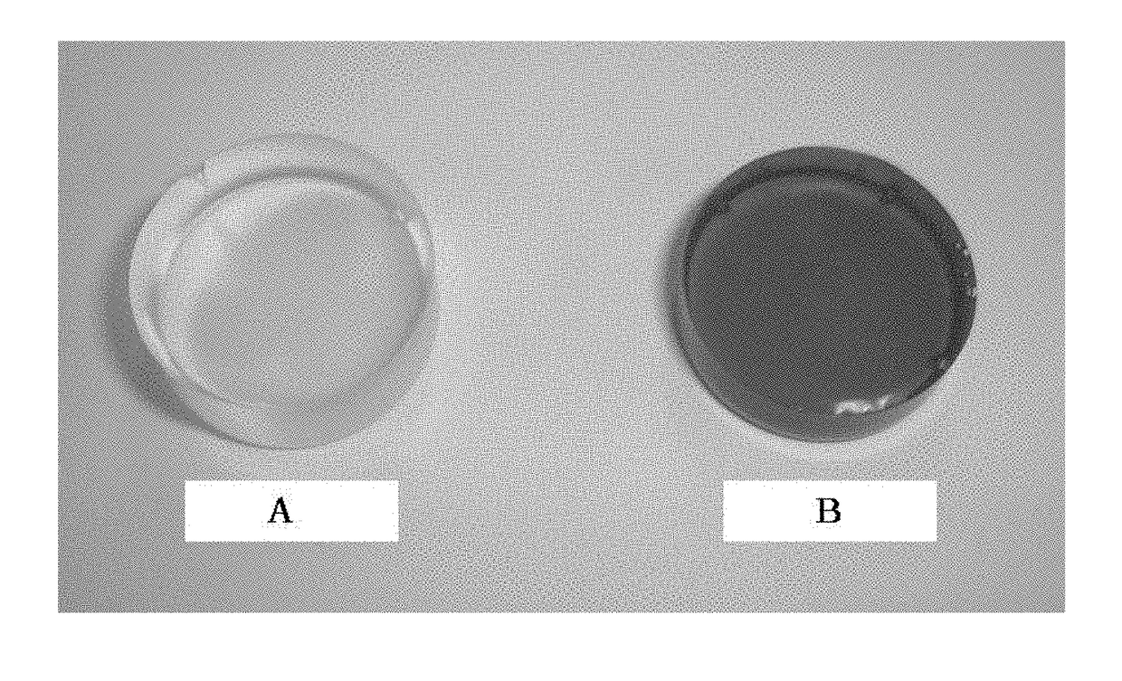 Process for production of thermoplastic cured epoxy resin with transparency to visible light, and thermoplastic epoxy resin composition