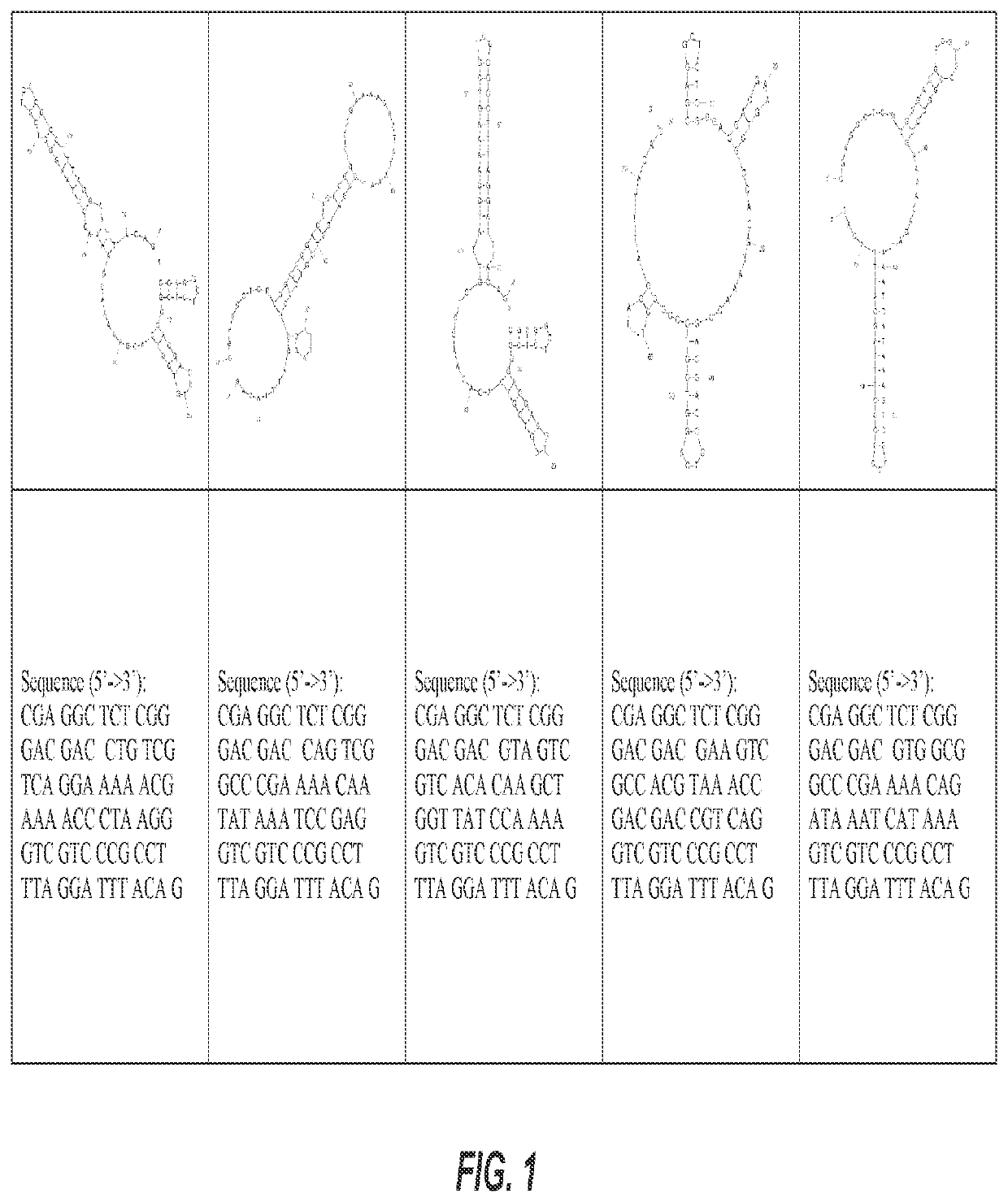 Lipoteichoic acid (LTA) aptamers and associated methods