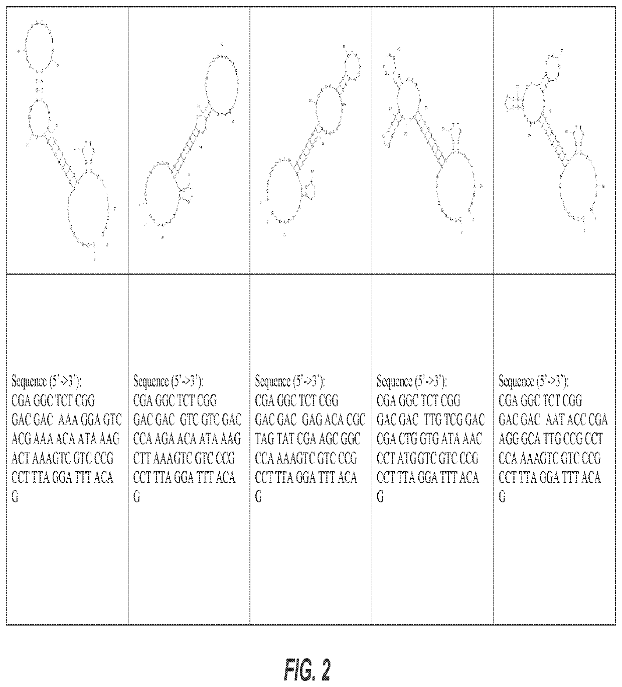 Lipoteichoic acid (LTA) aptamers and associated methods