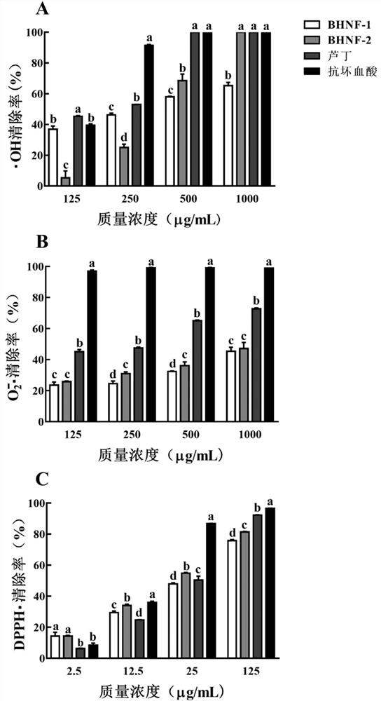 Preparation method of buckwheat hull non-flavonoid substance