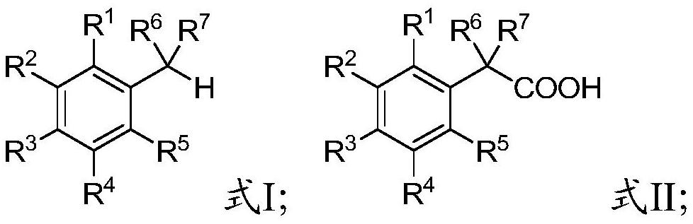 Method for synthesizing aryl acetic acid through direct carbonylation of alkyl aromatic hydrocarbon and water