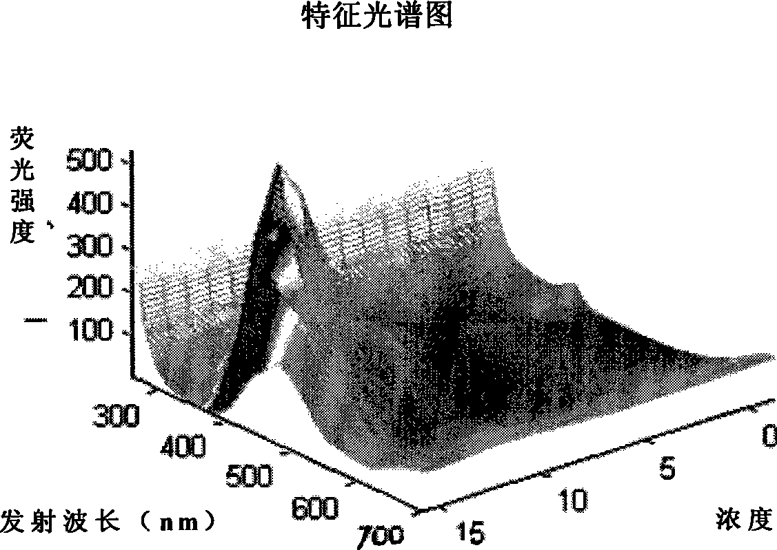 Oil species identification method by sea oil spill concentration auxiliary auxiliary parameter fluorescence spectrum