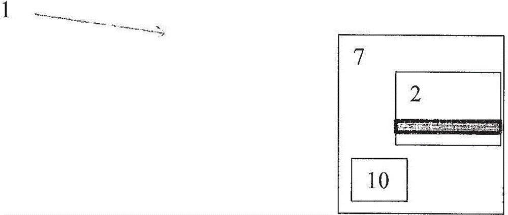 Non-invasive system for calculating human or animal, reliable, standardized and complete score