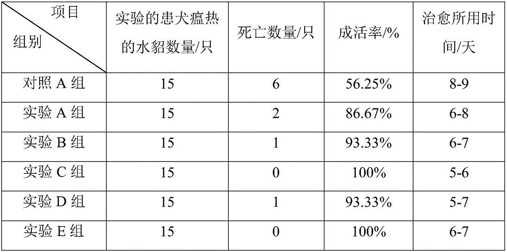 Chinese medicinal preparation for treatment of mink distemper and preparation method thereof