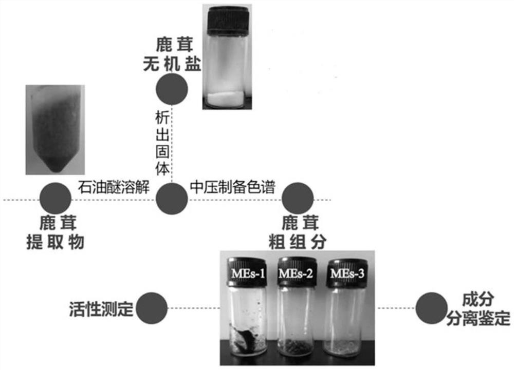 Preparation method and application of antler ethanol extract