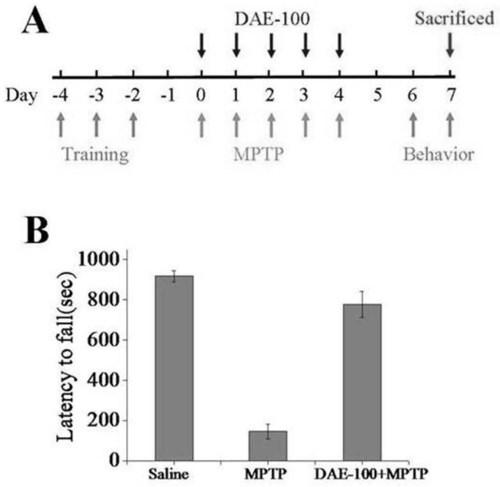 Preparation method and application of antler ethanol extract