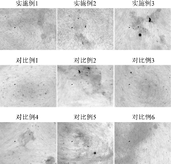 A kind of stem cell serum-free medium containing small molecules of traditional Chinese medicine and preparation method thereof