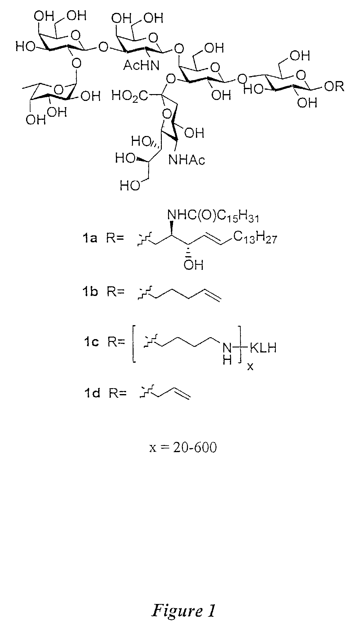 Glycoconjugates, glycoamino acids, intermediates thereto, and uses thereof