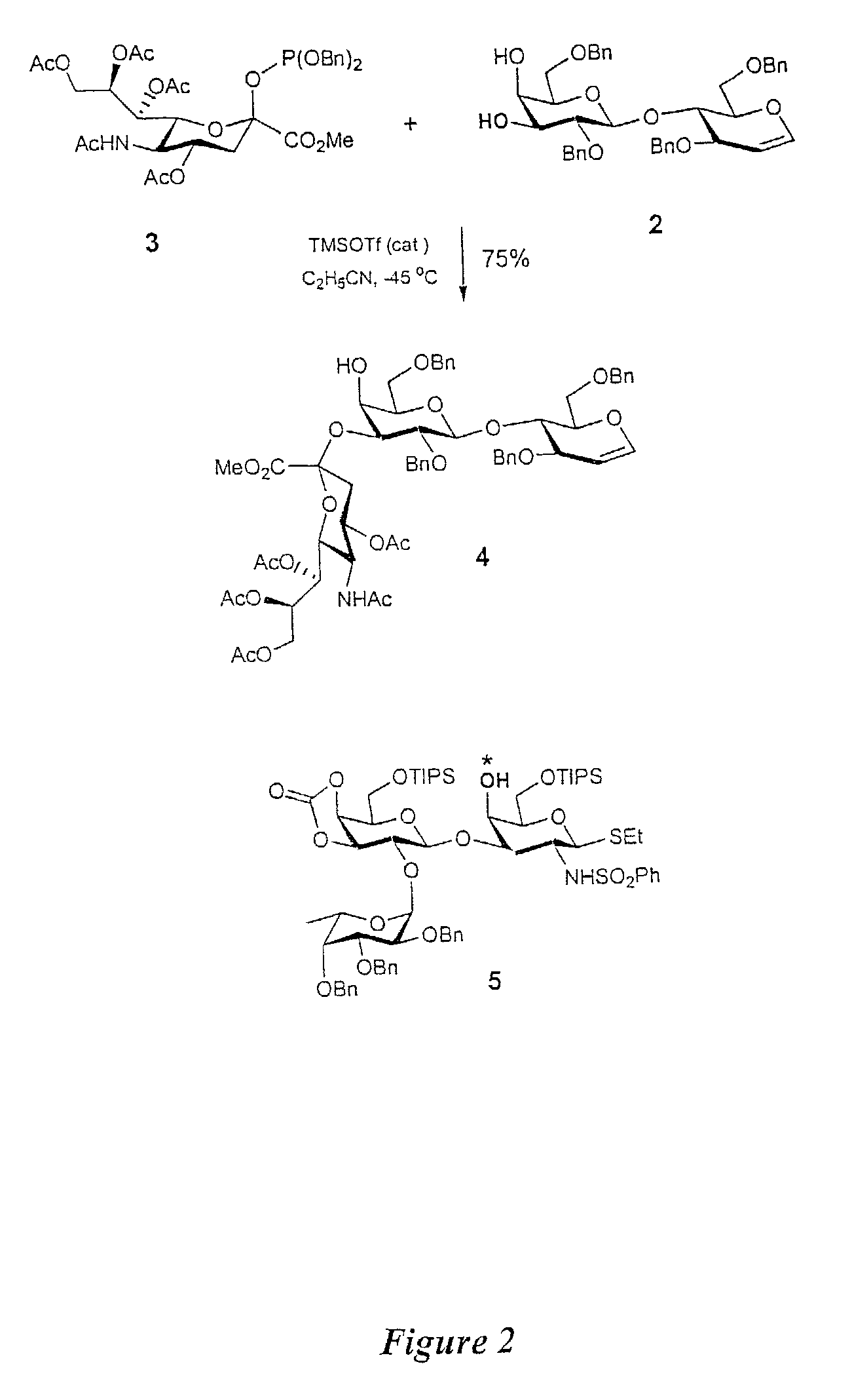 Glycoconjugates, glycoamino acids, intermediates thereto, and uses thereof