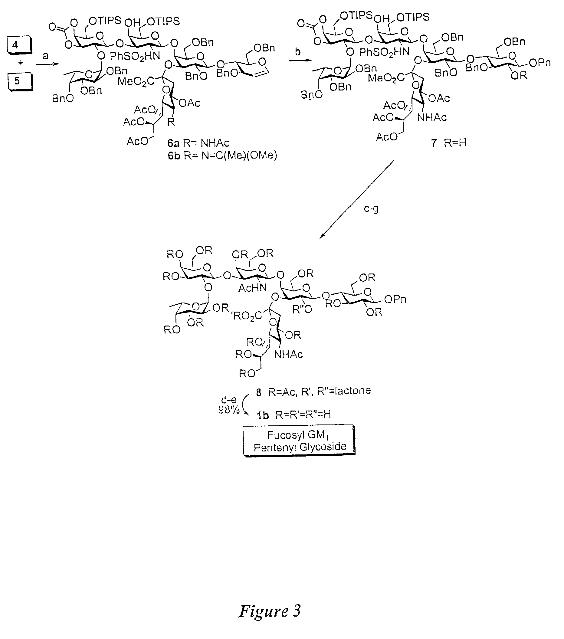 Glycoconjugates, glycoamino acids, intermediates thereto, and uses thereof