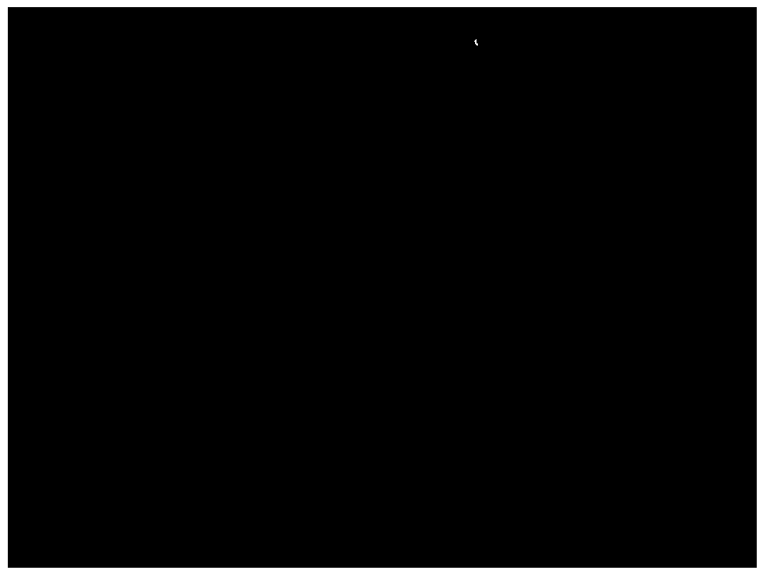 Method for detecting drug resistance of rhopalosiphum aphids