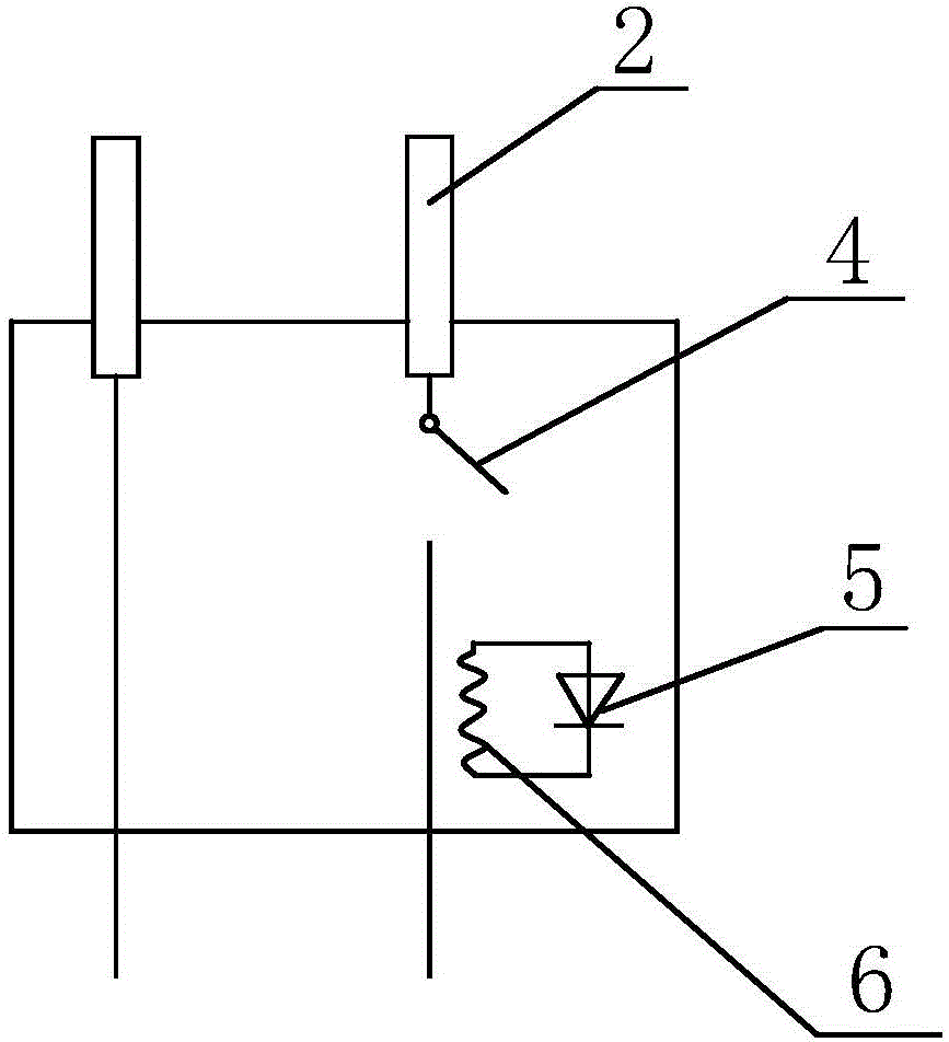 Plug with switch