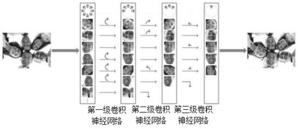 Rotation invariance face detection method and device, readable storage medium and equipment