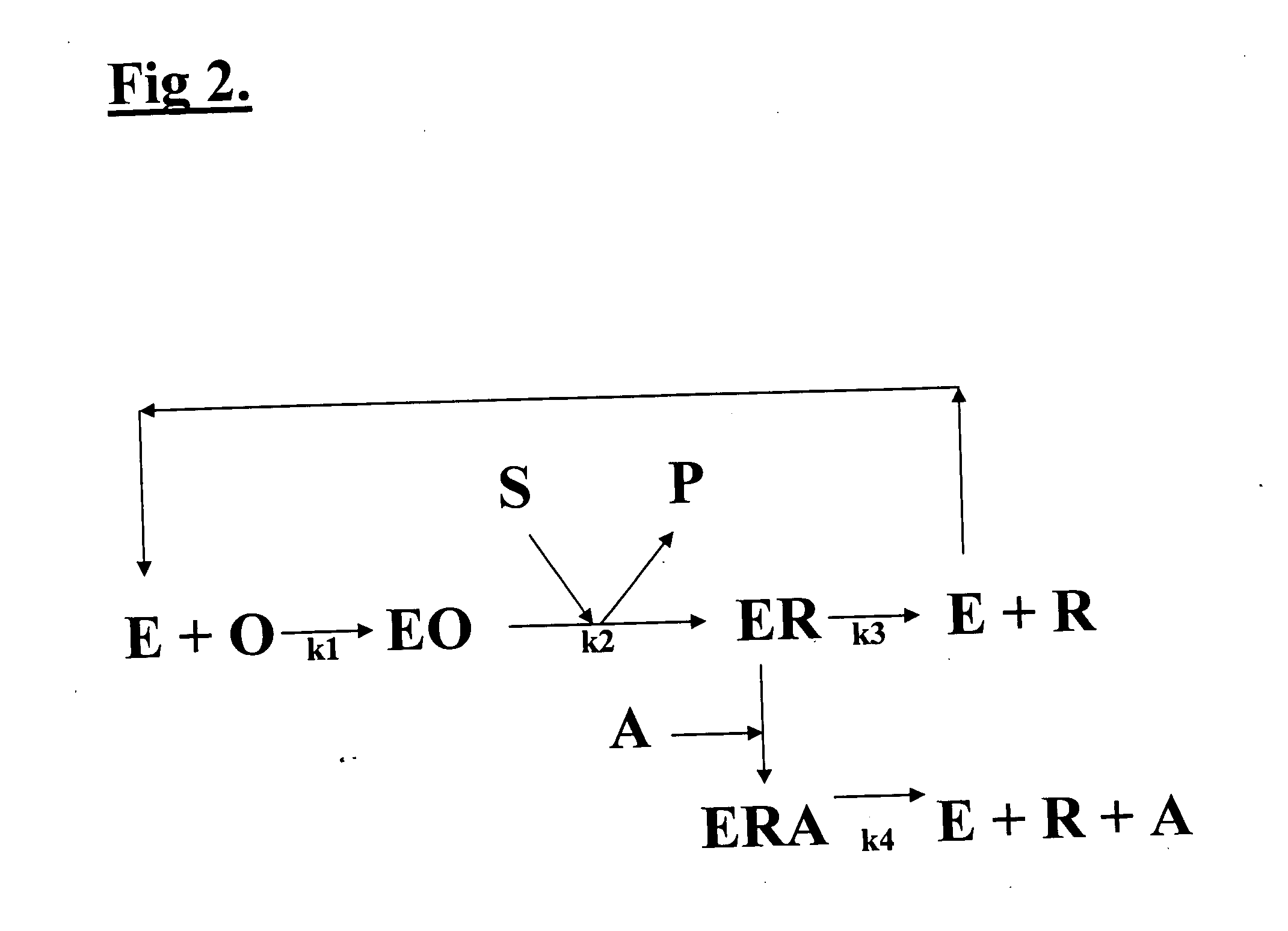 Composition for stimulation of specific metallo-enzymes