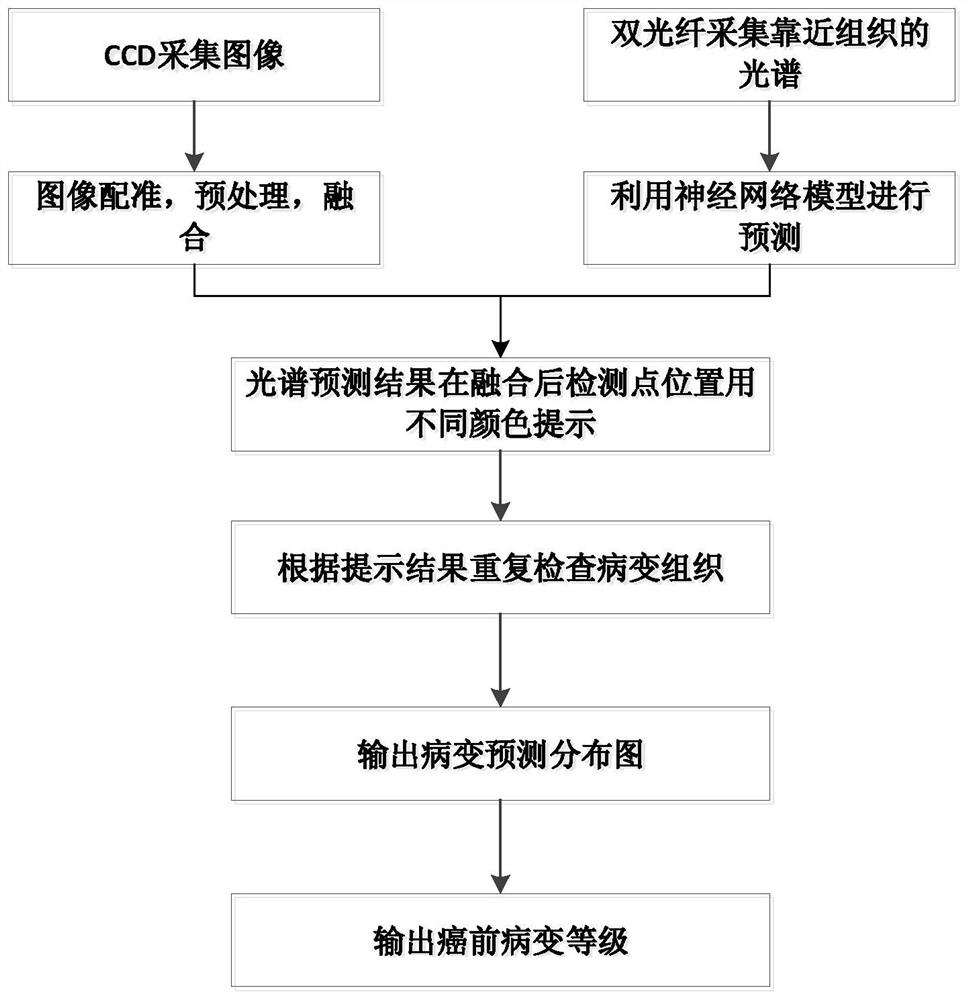 A screening method for cervical precancerous lesions combining spectroscopy and images