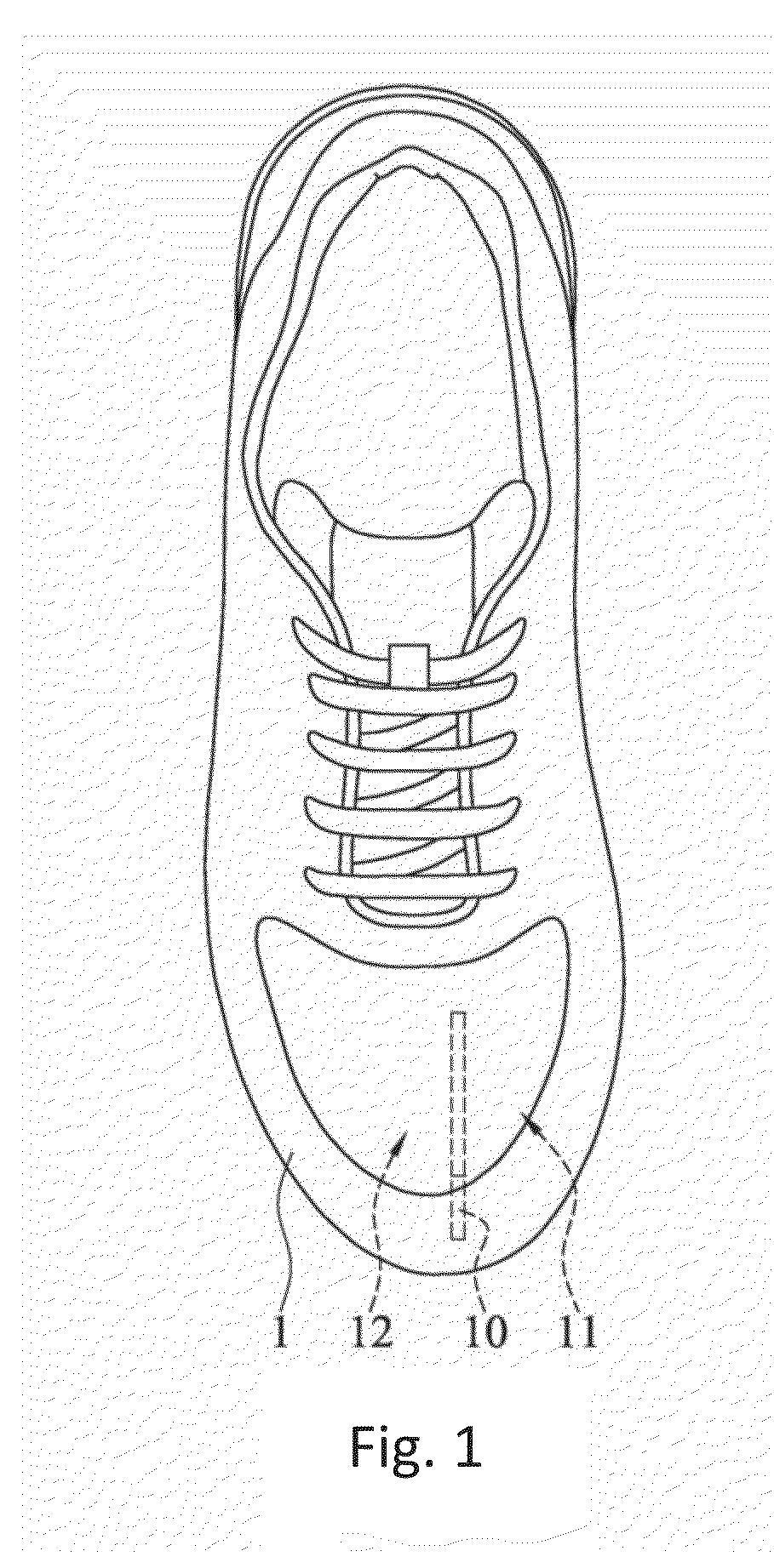 Shoe Structure