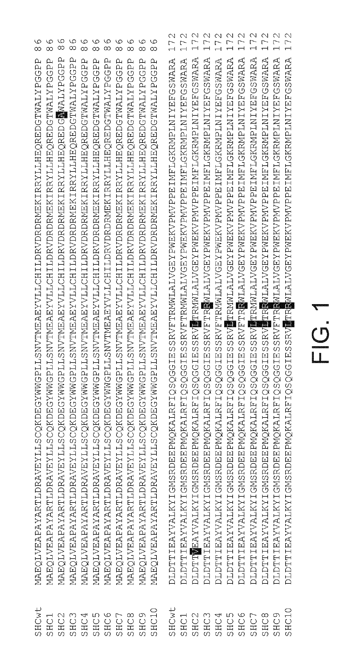 Enzymes and applications thereof