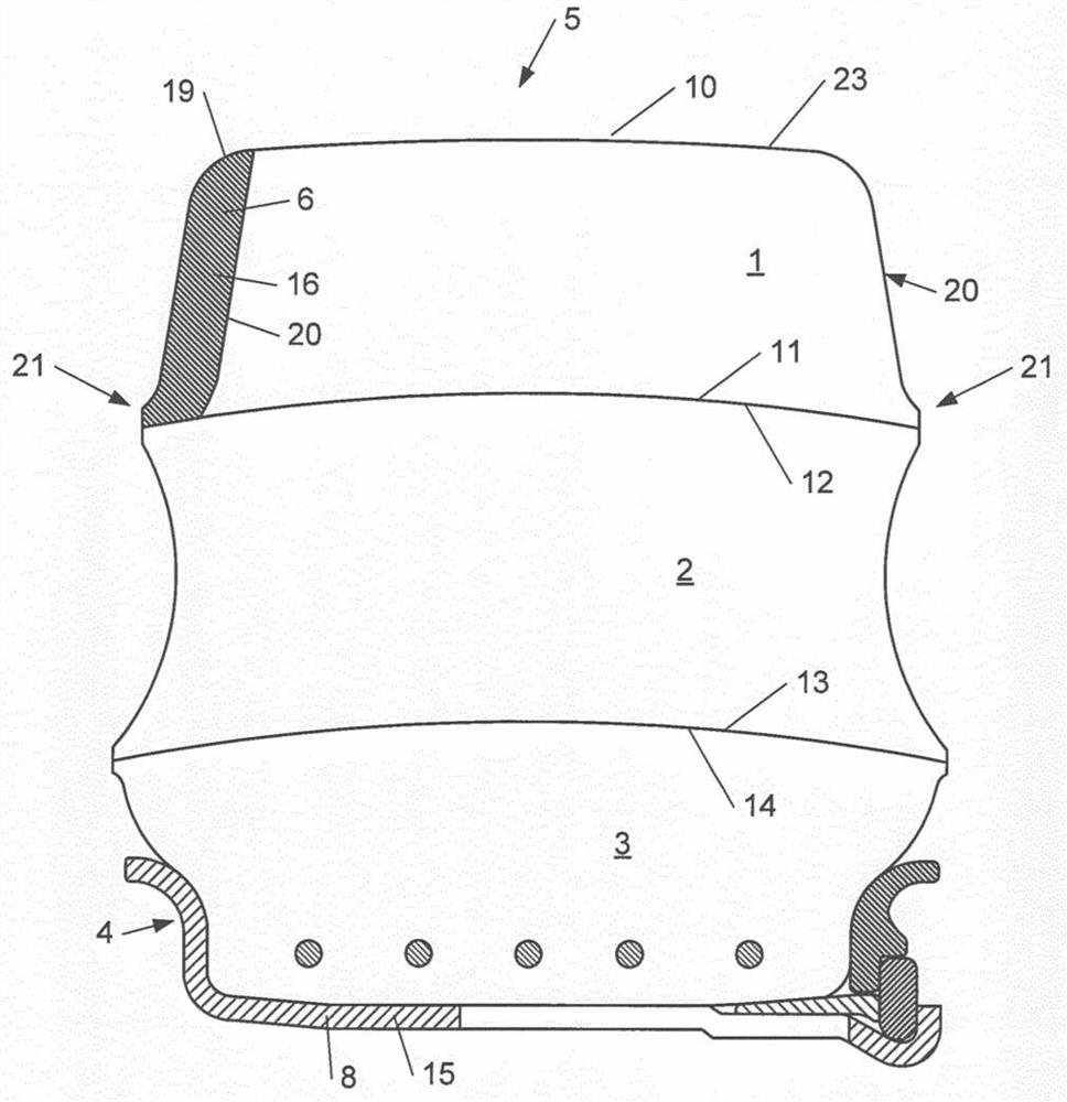 Tire and method for manufacturing tire
