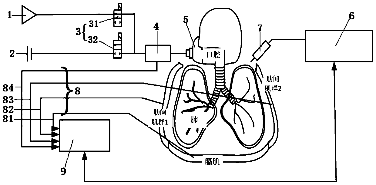 Diaphragm muscle pacing expectoration auxiliary device