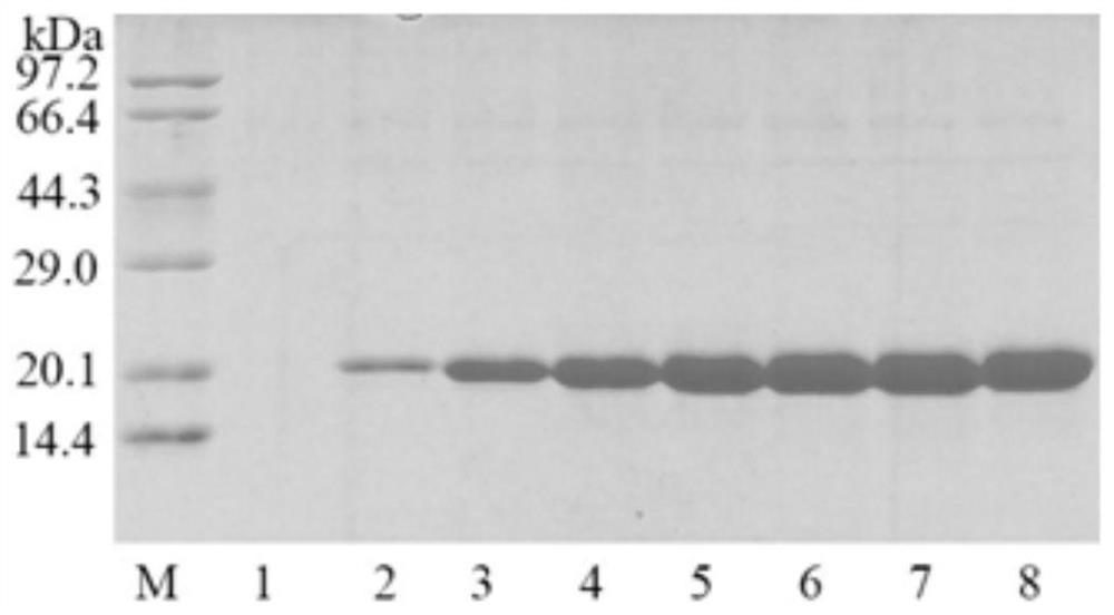 A kind of thermophilic fungus cutinase and its coding gene and application