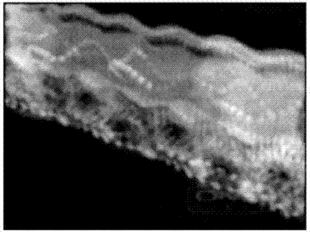 Method for recognizing human motion in video sequence