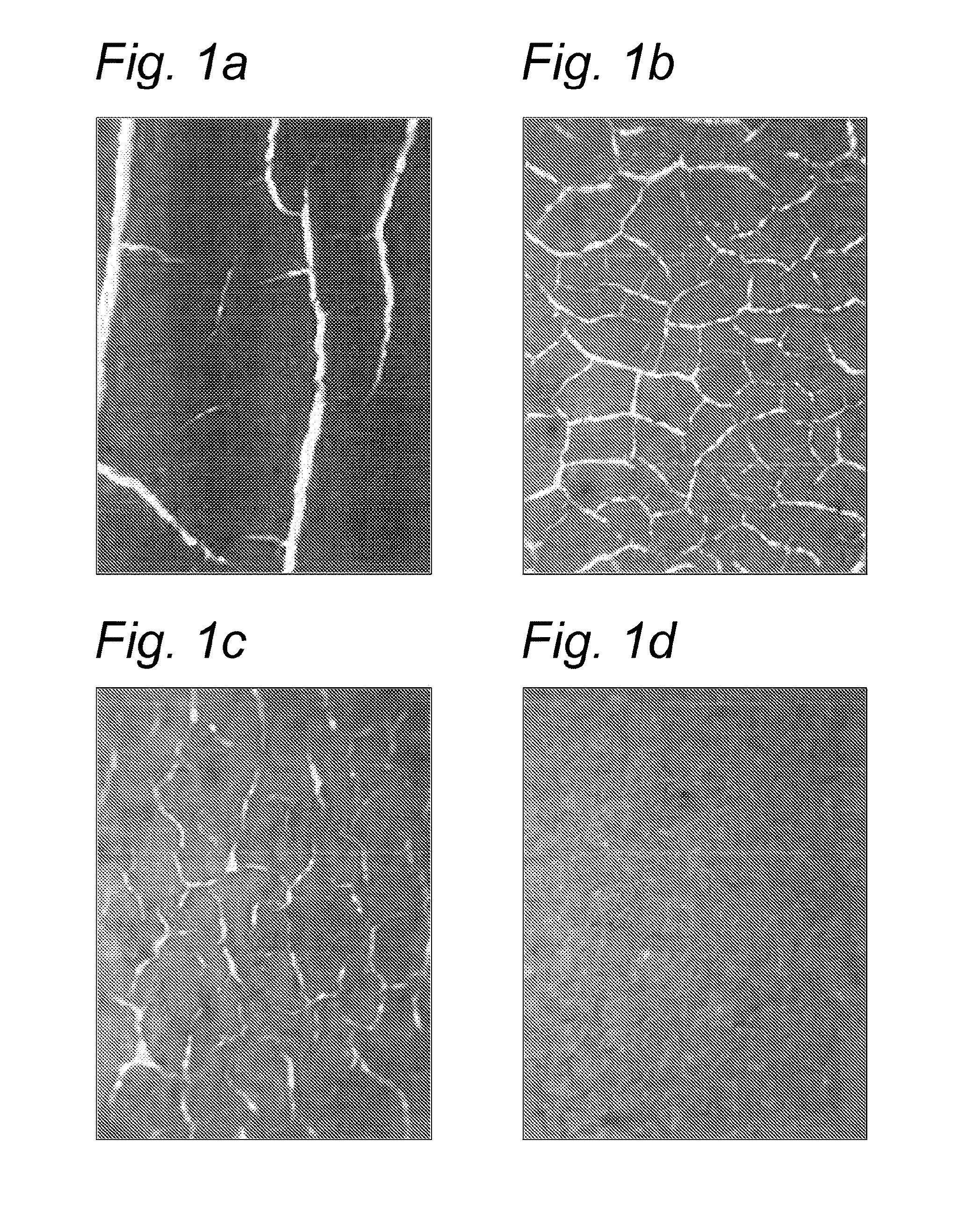 Anti-cracking agent for water-borne acrylic paint and coating compositions