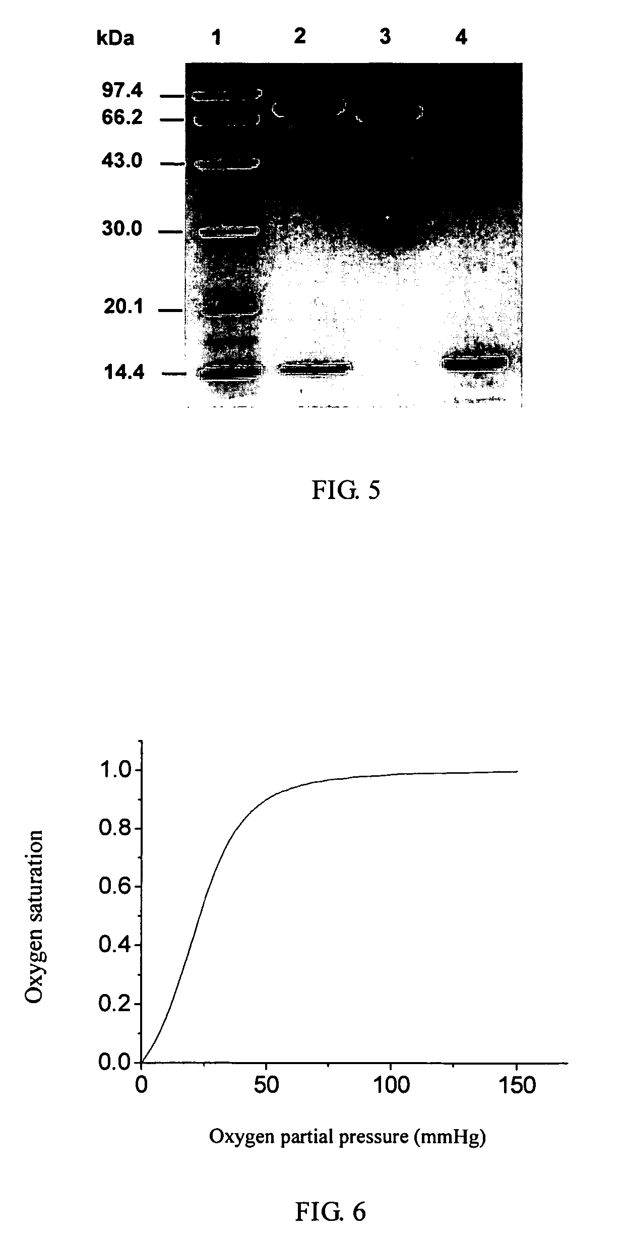 Hemoglobin conjugate and the preparation method and its use